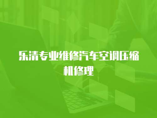 樂清專業(yè)維修汽車空調(diào)壓縮機修理