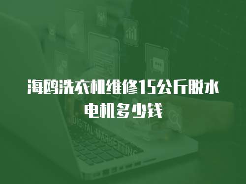 海鷗洗衣機維修15公斤脫水電機多少錢