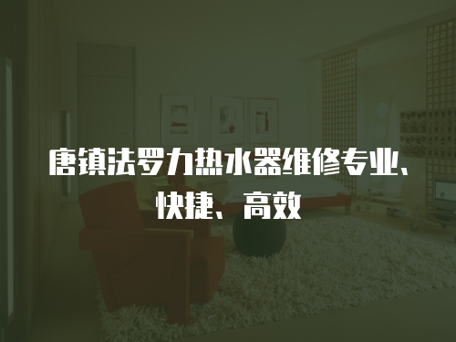 唐鎮(zhèn)法羅力熱水器維修專業(yè)、快捷、高效