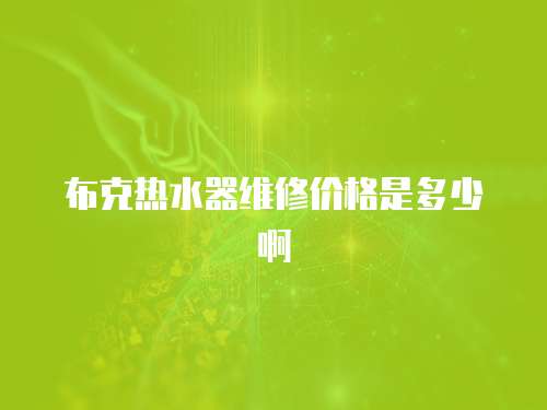 布克熱水器維修價格是多少啊