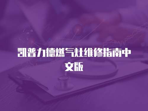凱普力德燃?xì)庠罹S修指南中文版