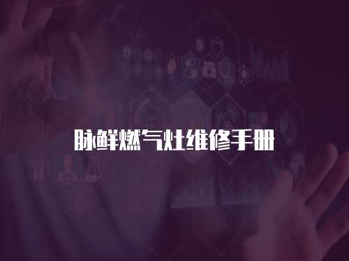 脈鮮燃氣灶維修手冊