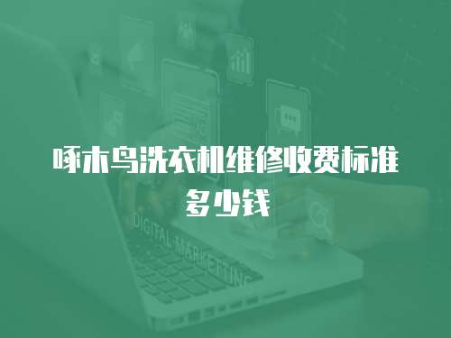 啄木鳥洗衣機(jī)維修收費(fèi)標(biāo)準(zhǔn)多少錢
