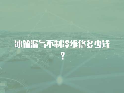 冰箱漏氣不制冷維修多少錢？