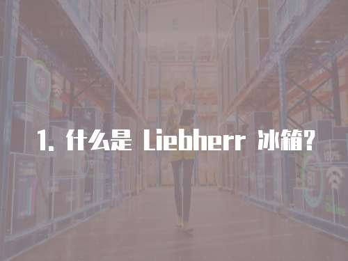 1. 什么是 Liebherr 冰箱？