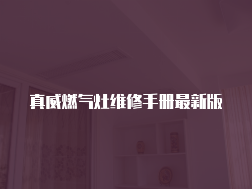 真威燃?xì)庠罹S修手冊(cè)最新版