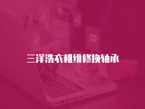 三洋洗衣機維修換軸承