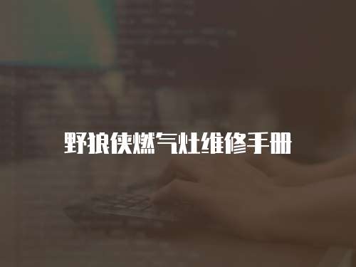 野狼俠燃氣灶維修手冊