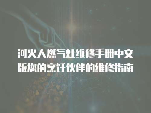 河火人燃氣灶維修手冊中文版您的烹飪伙伴的維修指南