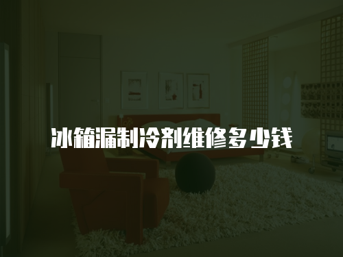 冰箱漏制冷劑維修多少錢