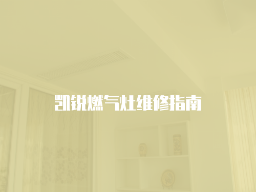 凱銳燃?xì)庠罹S修指南