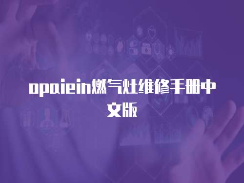opaiein燃?xì)庠罹S修手冊中文版