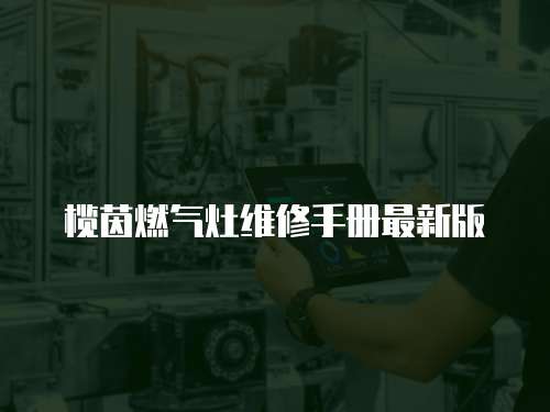 欖茵燃氣灶維修手冊最新版