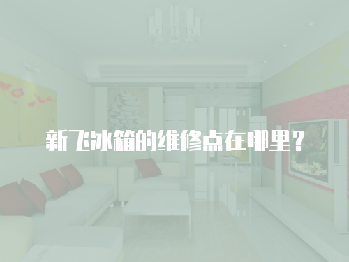 新飛冰箱的維修點在哪里？