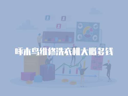 啄木鳥維修洗衣機大概多錢