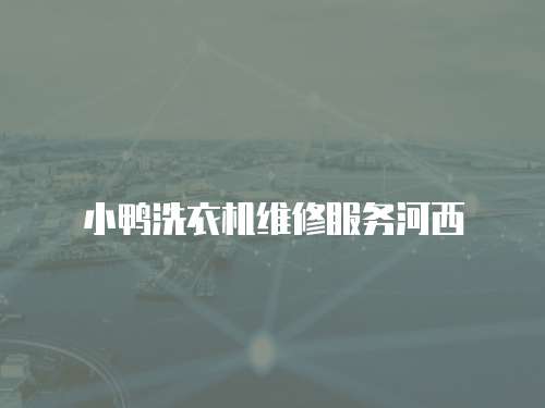 小鴨洗衣機維修服務河西