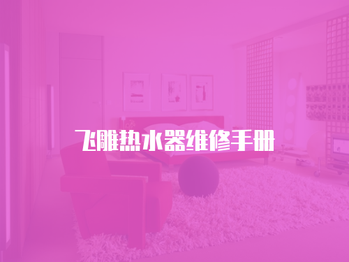 飛雕熱水器維修手冊