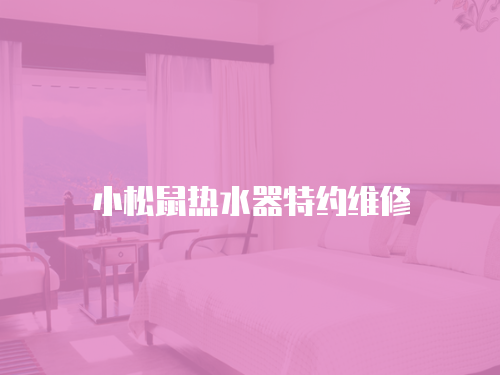 小松鼠熱水器特約維修