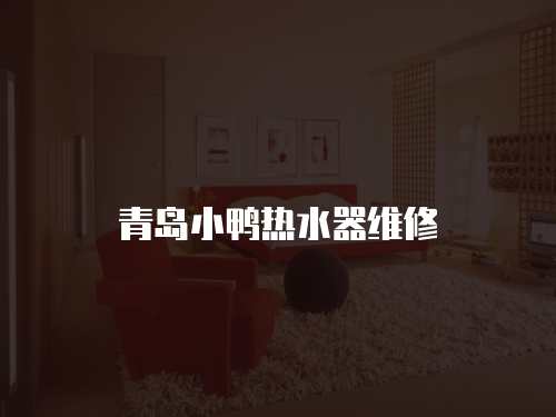 青島小鴨熱水器維修
