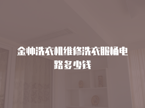 金帥洗衣機維修洗衣服桶電路多少錢