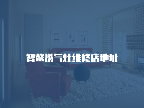 智鰲燃氣灶維修店地址