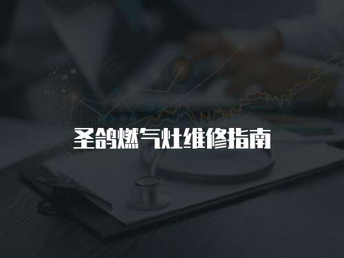 圣鴿燃?xì)庠罹S修指南