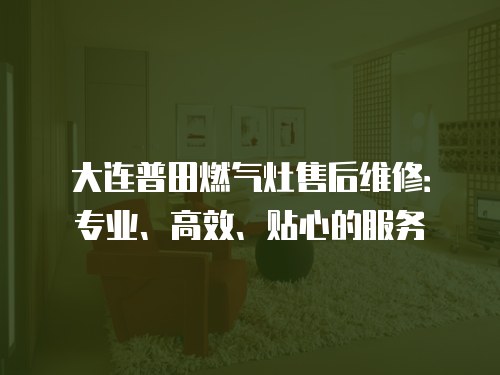 大連普田燃氣灶售后維修：專業、高效、貼心的服務