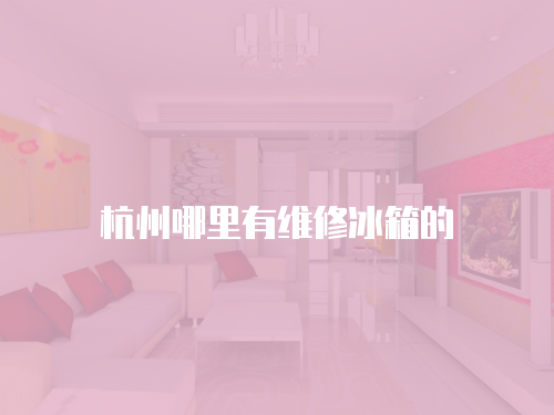 杭州哪里有維修冰箱的