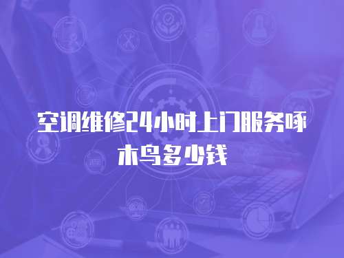 空調(diào)維修24小時上門服務啄木鳥多少錢