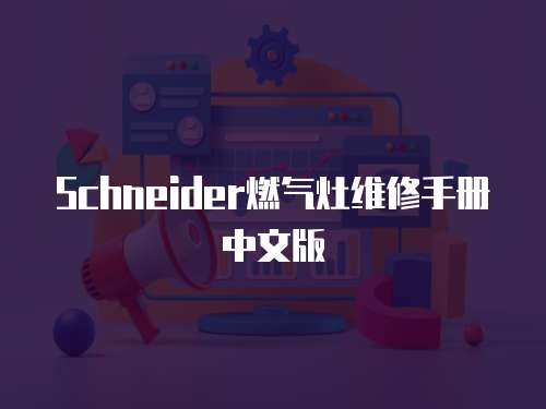 Schneider燃?xì)庠罹S修手冊(cè)中文版