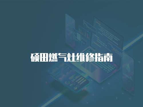 碩田燃氣灶維修指南