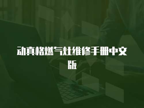 動真格燃氣灶維修手冊中文版