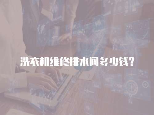 洗衣機維修排水閥多少錢？