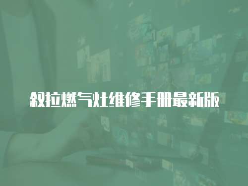敘拉燃氣灶維修手冊最新版