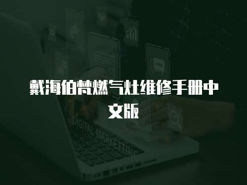 戴海伯梵燃氣灶維修手冊中文版