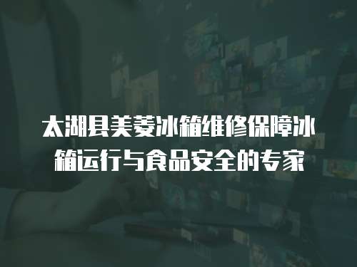 太湖縣美菱冰箱維修保障冰箱運行與食品安全的專家