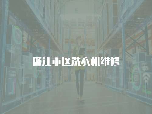 廉江市區洗衣機維修