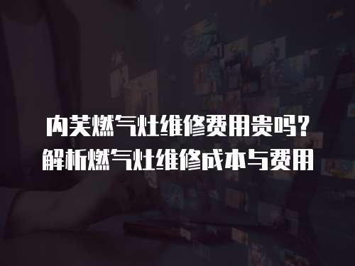 內(nèi)芙燃?xì)庠罹S修費(fèi)用貴嗎？解析燃?xì)庠罹S修成本與費(fèi)用