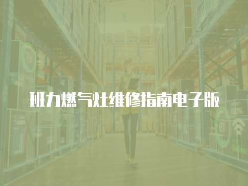 班力燃?xì)庠罹S修指南電子版
