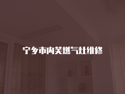 寧鄉市內芙燃氣灶維修