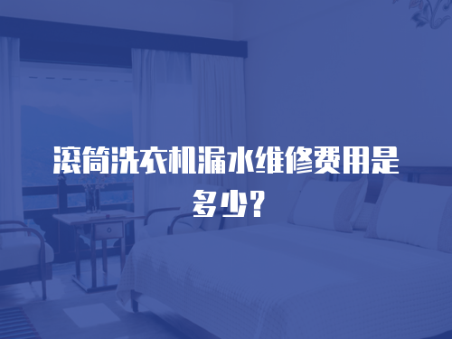 滾筒洗衣機漏水維修費用是多少？