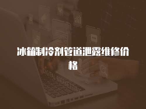 冰箱制冷劑管道泄露維修價格