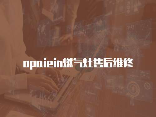 opaiein燃?xì)庠钍酆缶S修