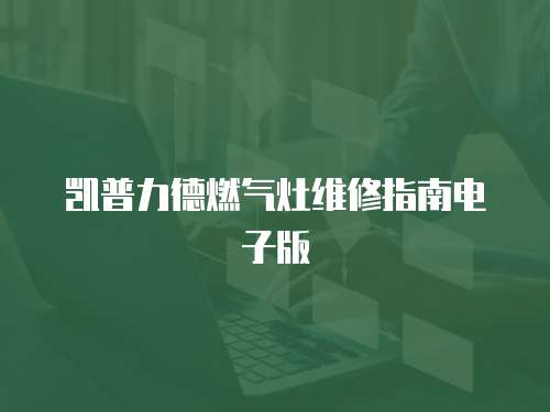 凱普力德燃氣灶維修指南電子版