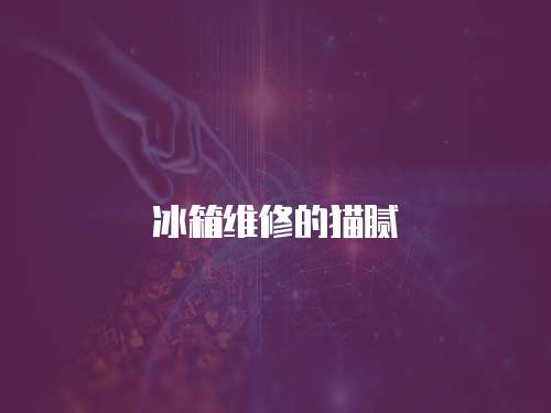 冰箱維修的貓膩
