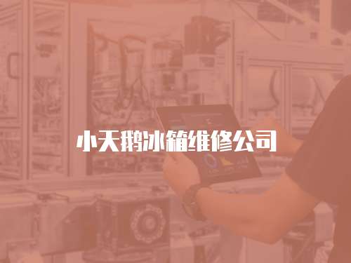 小天鵝冰箱維修公司