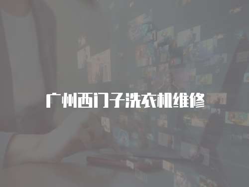 廣州西門子洗衣機維修