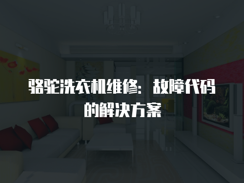 駱駝洗衣機維修：故障代碼的解決方案