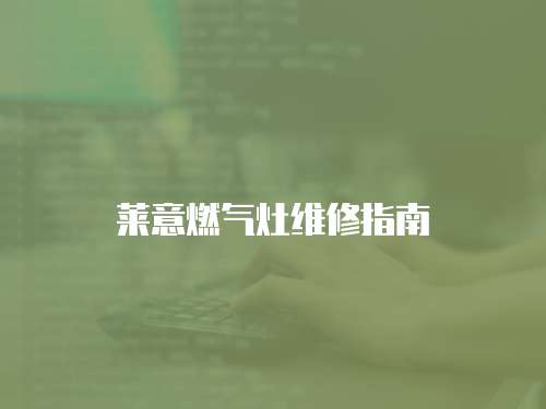 萊意燃氣灶維修指南