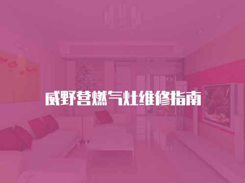 威野營燃?xì)庠罹S修指南